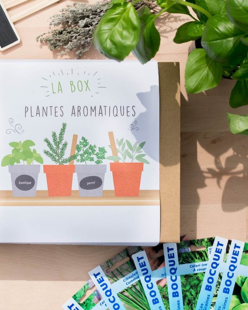 La Pousse Verte - Notre box de plantes écoresponsable