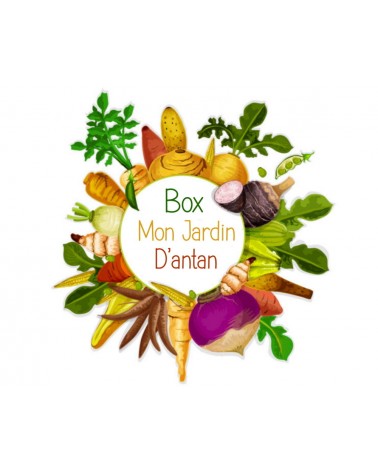 Box Légumes Anciens & Oubliés